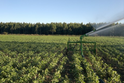 Produtor rural vai emitir nota por meio digital a partir deste ano