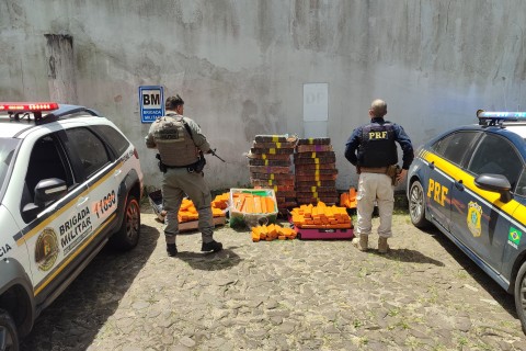 PRF e BM apreendem mais de meia tonelada de maconha em Torres
