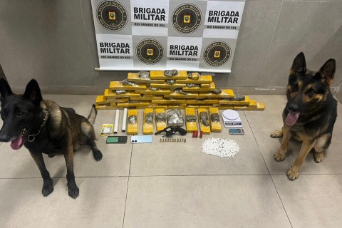 Brigada Militar descobre depósito de drogas e apreende quase 30 quilos de entorpecentes em Capão da Canoa