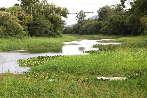 CEEE Equatorial patrocina projeto de corredor ecológico para restaurar Rio Água Parada, em Maquiné (RS)