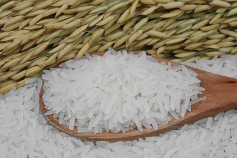 Conab realiza novos leilões de contrato de opção de venda de arroz nesta sexta, 13