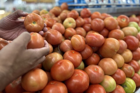 Cesta básica: tomate, arroz e batata lideram queda de preços em Porto Alegre, apontam Conab e Dieese
