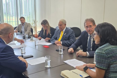 Indústrias do Sul solicitam ação do governo contra tarifas dos EUA a produtos da base florestal