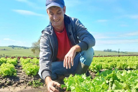 Assunto: Operação Terra Forte estimula plantio direto de hortaliças no interior do RS