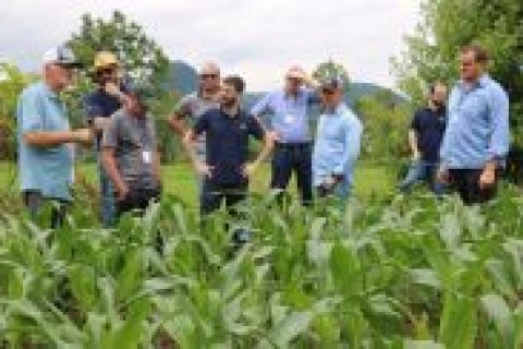 Reconstrução da agricultura e do rural gaúcho é “compromisso extensionista”