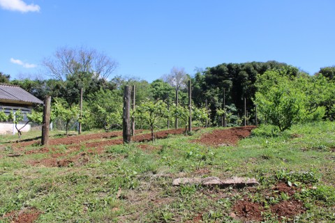 Produtor rural deve ficar atento às particularidades dos contratos de Arrendamento e de Parceria