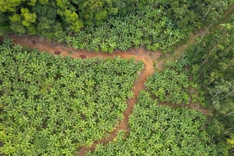 Agricultores gaúchos podem cadastrar propriedades no turismo rural