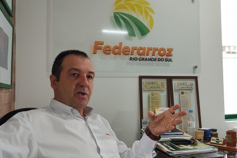 Federarroz alerta para possível redução de área plantada e impacto das chuvas na produção total