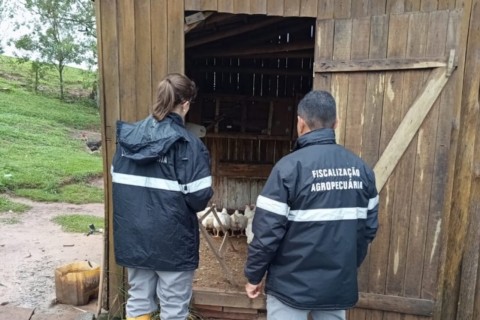 Febrac destaca agilidade do serviço sanitário gaúcho no controle da Influenza Aviária
