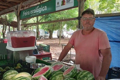 Produção de frutas no RS garante alimentos leves e nutritivos no verão