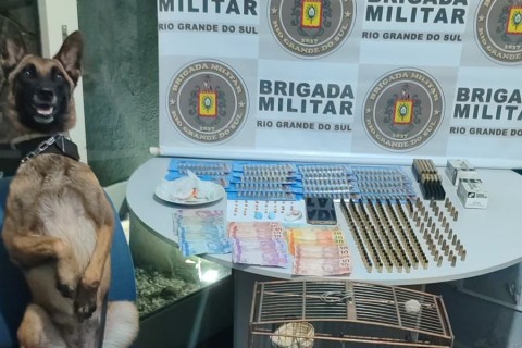 BM realiza prisão por tráfico de drogas, posse irregular de munições e crimes contra a fauna em Osório