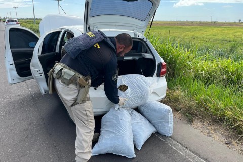 PRF, BM e CPRv BM apreendem carga de skunk em ação conjunta no Litoral Norte