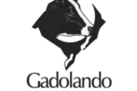 Nota Oficial da Gadolando e da Febrac sobre ação de adulteração de produtos lácteos