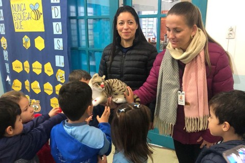 Campanha nas escolas orienta crianças sobre cuidados com os animais e prevenção da esporotricose