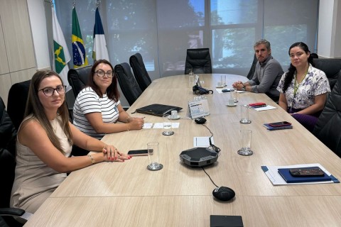 Prefeita Fabiana Leffa busca soluções com a ANEEL para problemas de energia elétrica