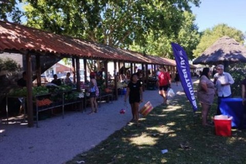 Feira do Produtor mais antiga do litoral completa 40 anos e integra Operação Verão Total no Litoral Sul com mais atrações