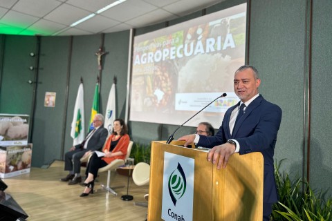 Safra de grãos 2025/2026: Conab projeta novo recorde no Brasil e recuperação da soja no Rio Grande do Sul