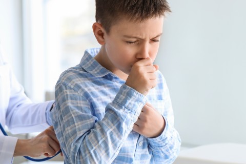 Aumentam os casos de coqueluche no Rio Grande do Sul: Sociedade de Pediatria alerta para importância da vacinação